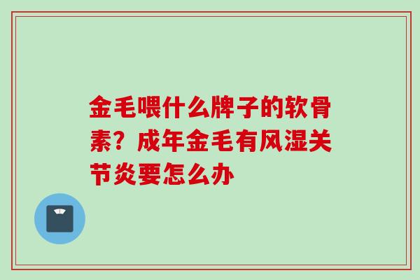 金毛喂什么牌子的软骨素？成年金毛有风湿关节炎要怎么办