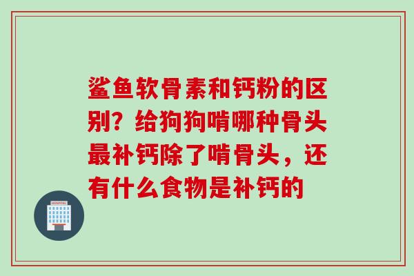 鲨鱼软骨素和钙粉的区别？给狗狗啃哪种骨头最补钙除了啃骨头，还有什么食物是补钙的