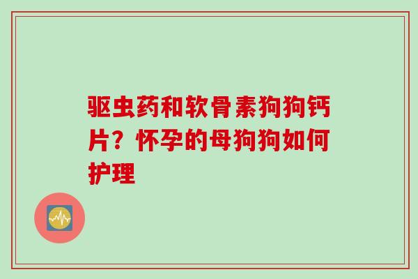 驱虫药和软骨素狗狗钙片？怀孕的母狗狗如何护理
