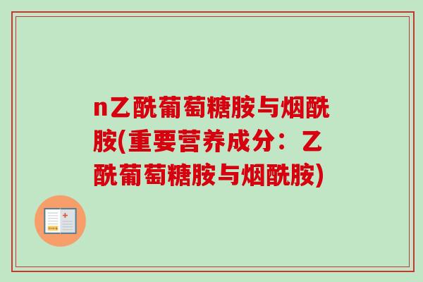 n乙酰葡萄糖胺与烟酰胺(重要营养成分：乙酰葡萄糖胺与烟酰胺)