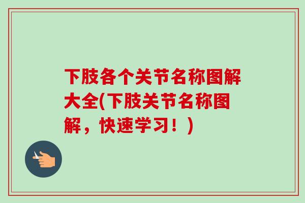 下肢各个关节名称图解大全(下肢关节名称图解，快速学习！)