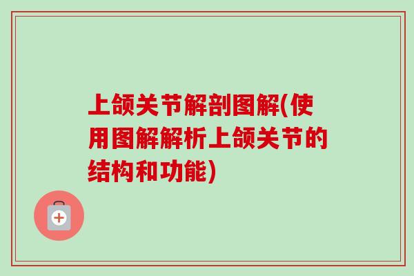 上颌关节解剖图解(使用图解解析上颌关节的结构和功能)
