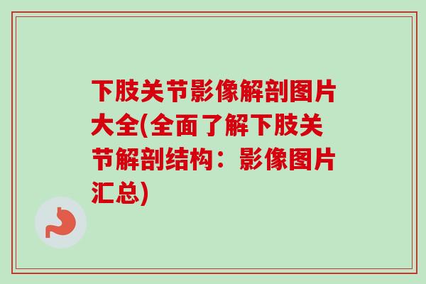 下肢关节影像解剖图片大全(全面了解下肢关节解剖结构：影像图片汇总)