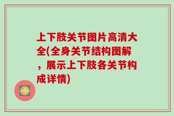 上下肢关节图片高清大全(全身关节结构图解，展示上下肢各关节构成详情)