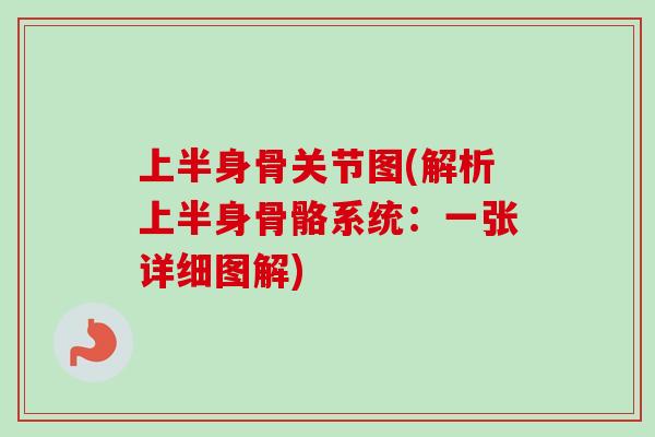 上半身骨关节图(解析上半身骨骼系统：一张详细图解)