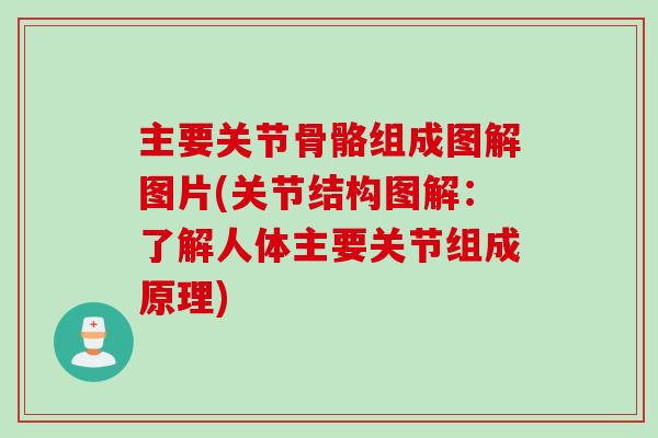主要关节骨骼组成图解图片(关节结构图解：了解人体主要关节组成原理)