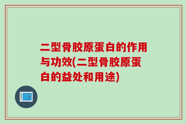 二型骨胶原蛋白的作用与功效(二型骨胶原蛋白的益处和用途)