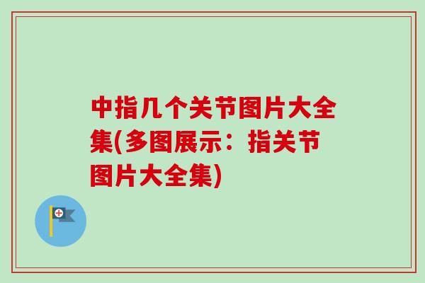 中指几个关节图片大全集(多图展示：指关节图片大全集)