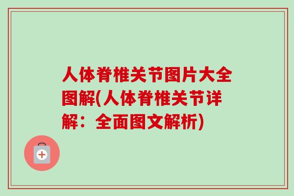 人体脊椎关节图片大全图解(人体脊椎关节详解：全面图文解析)
