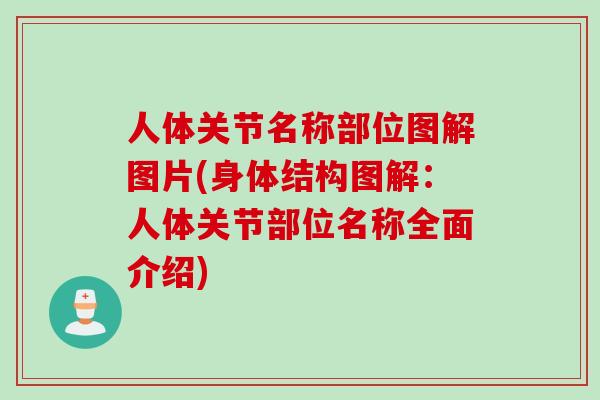 人体关节名称部位图解图片(身体结构图解：人体关节部位名称全面介绍)