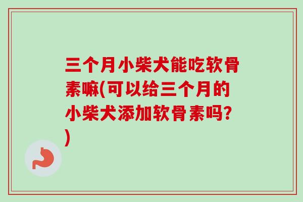 三个月小柴犬能吃软骨素嘛(可以给三个月的小柴犬添加软骨素吗？)