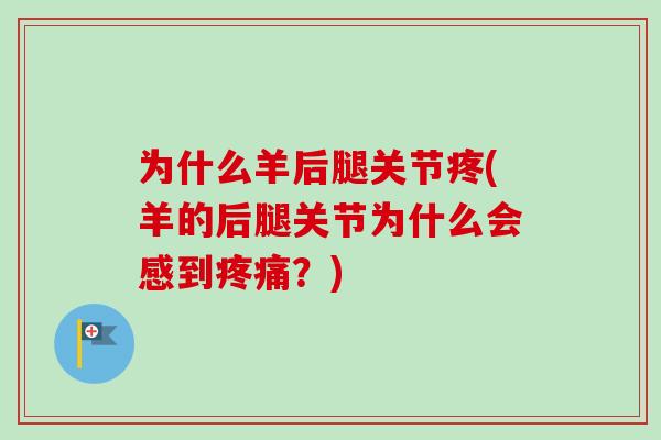 为什么羊后腿关节疼(羊的后腿关节为什么会感到疼痛？)