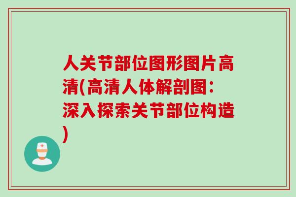 人关节部位图形图片高清(高清人体解剖图：深入探索关节部位构造)