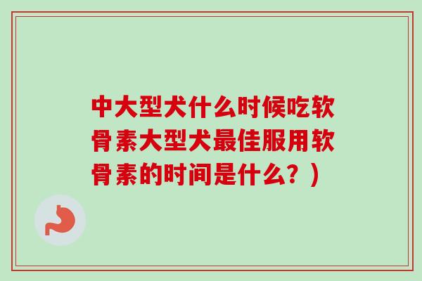 中大型犬什么时候吃软骨素大型犬最佳服用软骨素的时间是什么？)