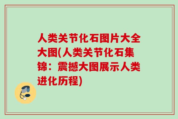 人类关节化石图片大全大图(人类关节化石集锦：震撼大图展示人类进化历程)