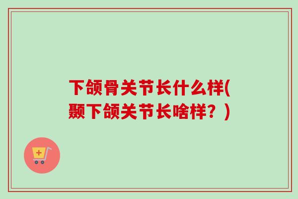 下颌骨关节长什么样(颞下颌关节长啥样？)