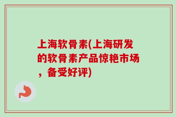 上海软骨素(上海研发的软骨素产品惊艳市场，备受好评)