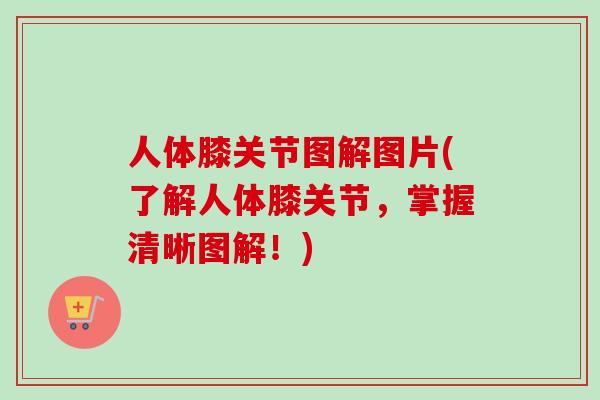 人体膝关节图解图片(了解人体膝关节，掌握清晰图解！)