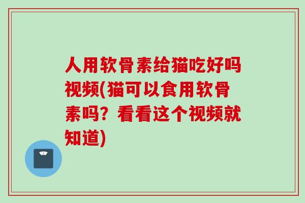 人用软骨素给猫吃好吗视频(猫可以食用软骨素吗？看看这个视频就知道)
