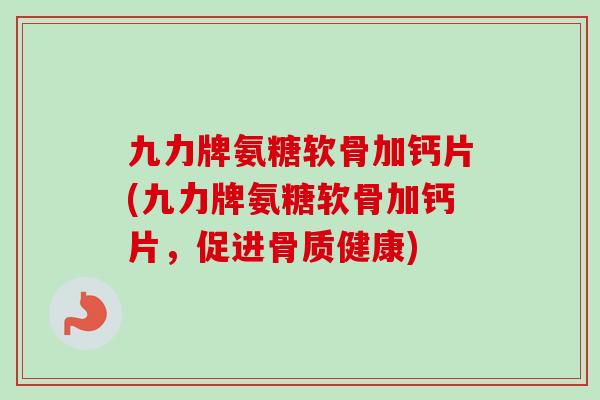 九力牌氨糖软骨加钙片(九力牌氨糖软骨加钙片，促进骨质健康)