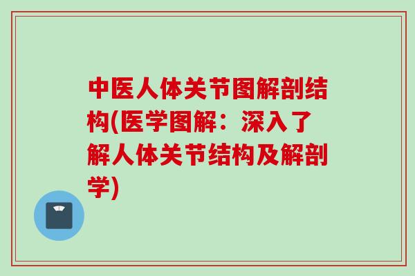 中医人体关节图解剖结构(医学图解：深入了解人体关节结构及解剖学)