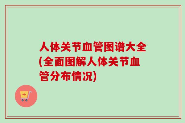 人体关节血管图谱大全(全面图解人体关节血管分布情况)
