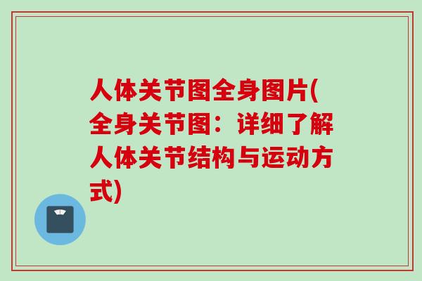 人体关节图全身图片(全身关节图：详细了解人体关节结构与运动方式)