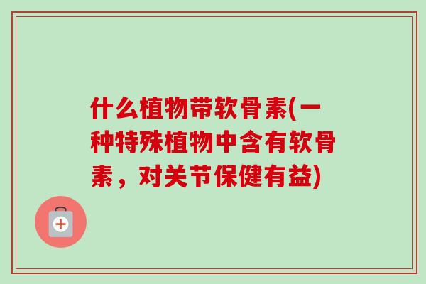 什么植物带软骨素(一种特殊植物中含有软骨素，对关节保健有益)