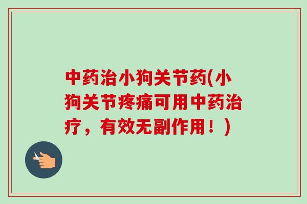 中药治小狗关节药(小狗关节疼痛可用中药治疗，有效无副作用！)