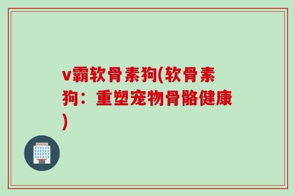 v霸软骨素狗(软骨素狗：重塑宠物骨骼健康)