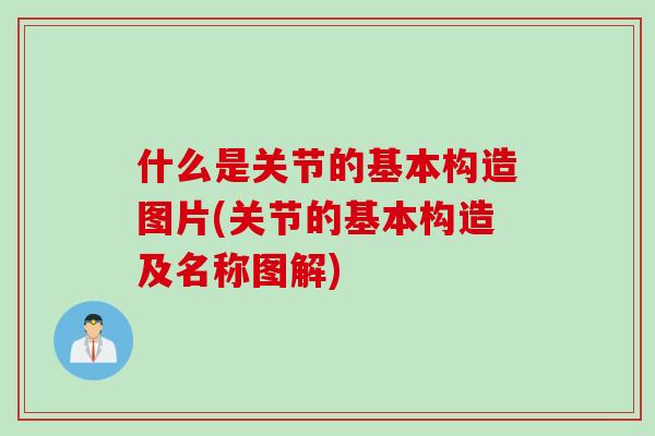 什么是关节的基本构造图片(关节的基本构造及名称图解)