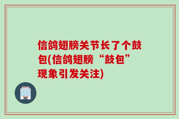 信鸽翅膀关节长了个鼓包(信鸽翅膀“鼓包”现象引发关注)