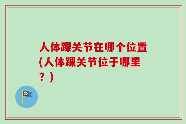 人体踝关节在哪个位置(人体踝关节位于哪里？)