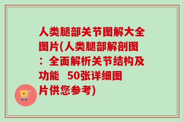 人类腿部关节图解大全图片(人类腿部解剖图：全面解析关节结构及功能  50张详细图片供您参考)