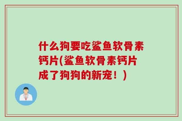 什么狗要吃鲨鱼软骨素钙片(鲨鱼软骨素钙片成了狗狗的新宠！)