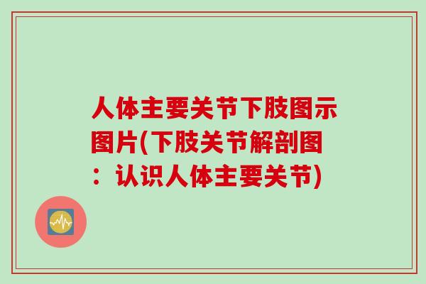 人体主要关节下肢图示图片(下肢关节解剖图：认识人体主要关节)