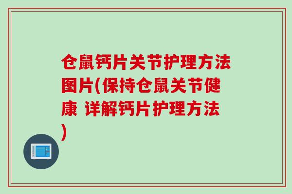 仓鼠钙片关节护理方法图片(保持仓鼠关节健康 详解钙片护理方法) 仓鼠钙片关节护理方法图片(保持仓鼠关节健康 详解钙片护理方法)