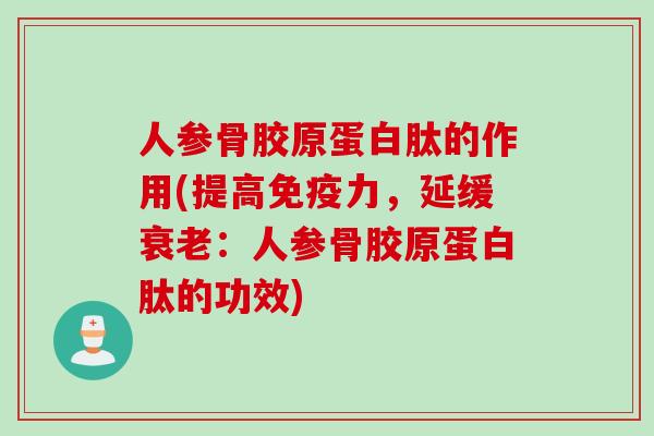 人参骨胶原蛋白肽的作用(提高免疫力，延缓衰老：人参骨胶原蛋白肽的功效)