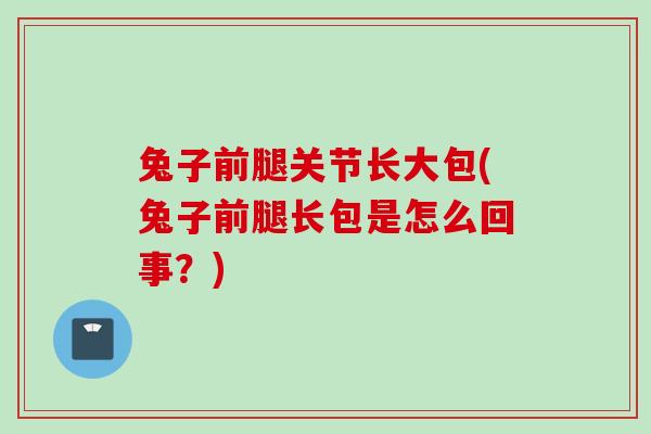 兔子前腿关节长大包(兔子前腿长包是怎么回事？)