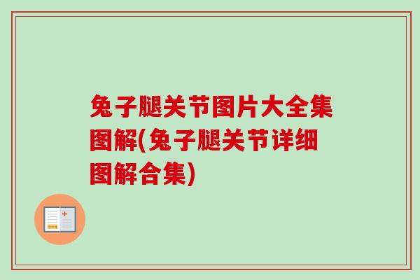兔子腿关节图片大全集图解(兔子腿关节详细图解合集)