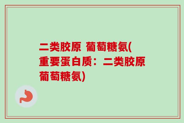 二类胶原 葡萄糖氨(重要蛋白质：二类胶原葡萄糖氨)