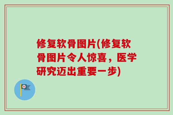 修复软骨图片(修复软骨图片令人惊喜，医学研究迈出重要一步)
