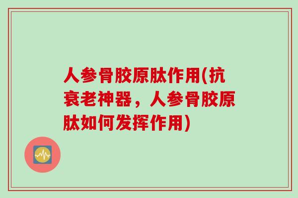 人参骨胶原肽作用(抗衰老神器，人参骨胶原肽如何发挥作用)
