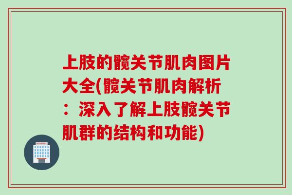 上肢的髋关节肌肉图片大全(髋关节肌肉解析：深入了解上肢髋关节肌群的结构和功能)