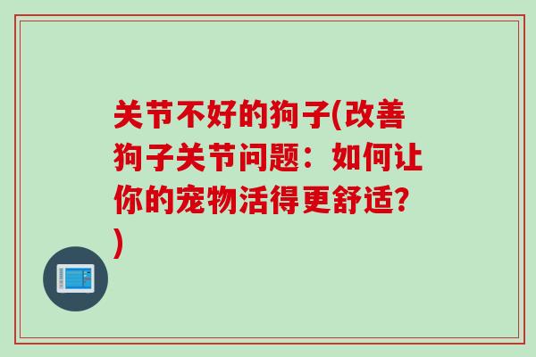 关节不好的狗子(改善狗子关节问题：如何让你的宠物活得更舒适？)