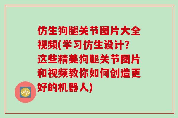 仿生狗腿关节图片大全视频(学习仿生设计？这些精美狗腿关节图片和视频教你如何创造更好的机器人)