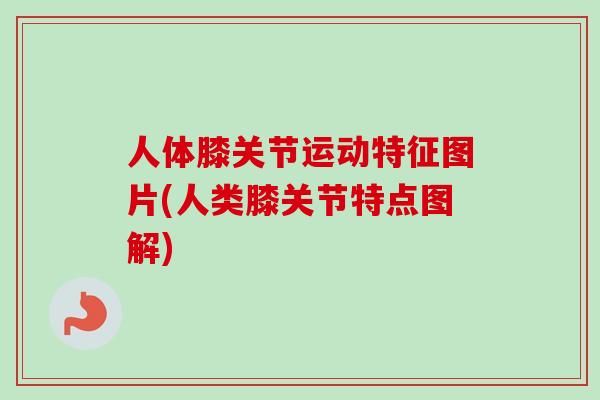 人体膝关节运动特征图片(人类膝关节特点图解)