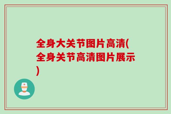 全身大关节图片高清(全身关节高清图片展示)