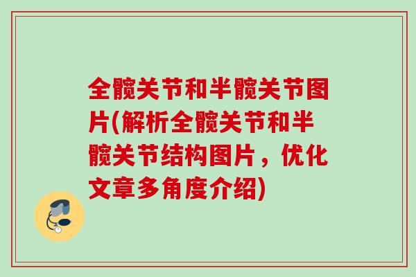 全髋关节和半髋关节图片(解析全髋关节和半髋关节结构图片,优化文章多角度介绍) 全髋关节和半髋关节图片(解析全髋关节和半髋关节结构图片,优化文章多角度介绍)