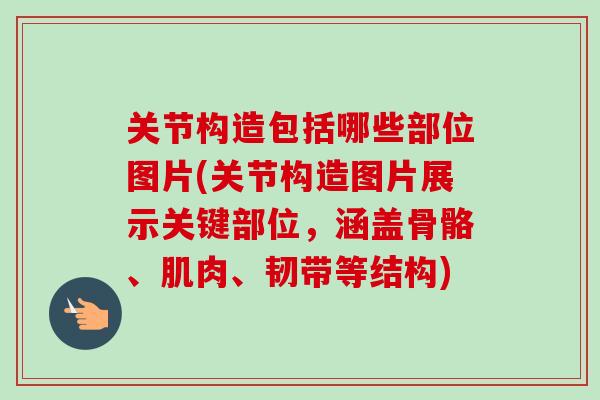 关节构造包括哪些部位图片(关节构造图片展示关键部位，涵盖骨骼、肌肉、韧带等结构)